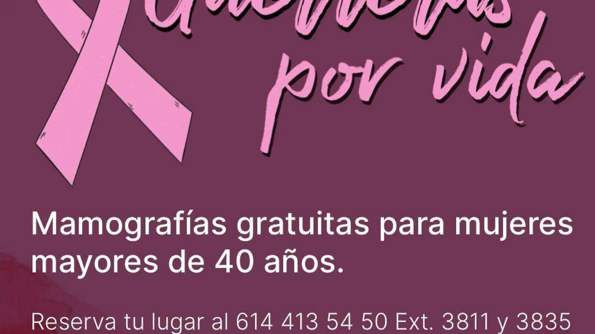 mastografias gratis ffyl